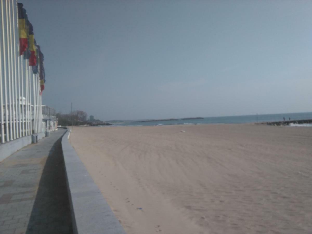 Pensiunea Scoika Steaguri Neptun Bagian luar foto