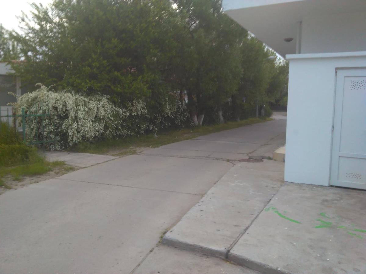 Pensiunea Scoika Steaguri Neptun Bagian luar foto